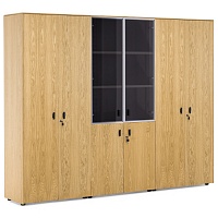 Шкаф комбинированный + гардероб + для бумаг H.197 EXE 101 733